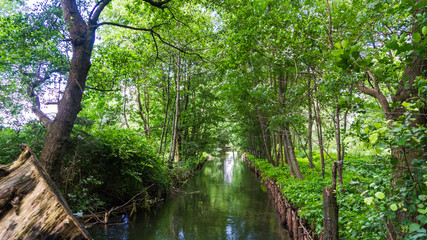 channel surrounded by trees
