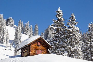 Winter in alps