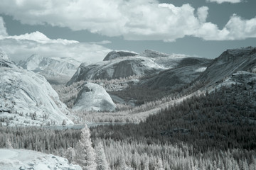 Yellowstone National Park landscape in infrared