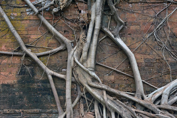 Cambodia Koh Ker Prasat Pram