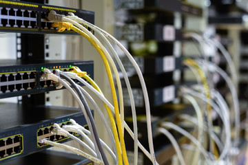 RJ45 cables plugged into switches