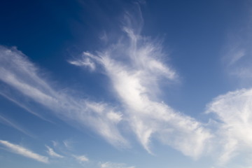 Cirrus clouds on the blue sky background