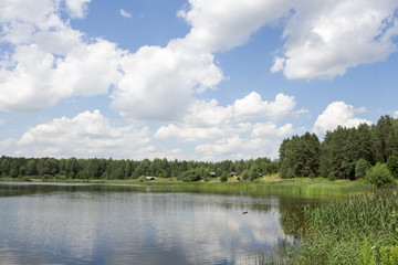 Summer lake, rural landscape, Belarus