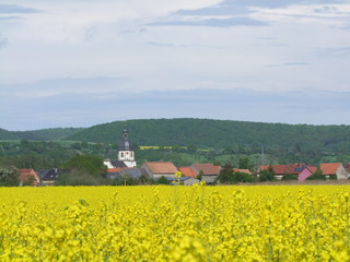 Augsfeld