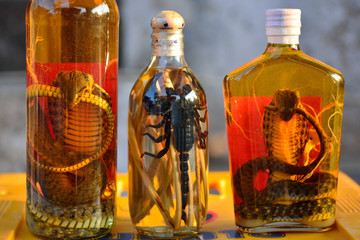 Laos Luang snakes scorpion drink