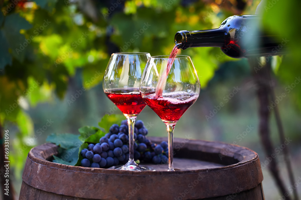 Wall mural pouring red wine into glasses in the vineyard