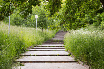 Obraz premium An old staircase in the city park. Horizontal. Selective focus.