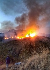 Naklejka premium Incendio boschivo