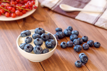 Bowl of breakfast healthy muesli with blueberry, red currant and yogurt.