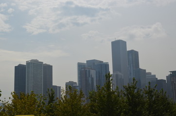 Fototapeta premium Skyline Chicago