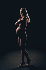 Silhouette of beautiful nude pregnant woman.