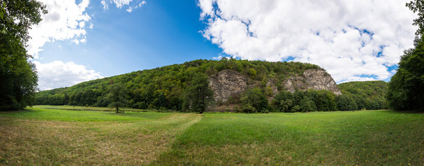 Big rock near the forest and meadow. Summer weather with nice clouds. © Martin