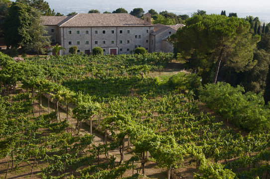 Tenuta Agricola