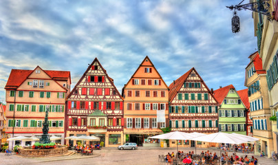 Typical houses in Tubingen - Baden Wurttemberg, Germany