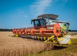 Combine harvester in action on wheat field. Process of gathering a ripe crop.
