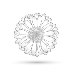 Abstract floral background. Vector flower gerbera. Element for design.