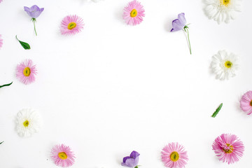 Floral frame with space for text made of white and pink chamomile daisy flowers, green leaves on white background. Flat lay, top view. Daisy background. Mock up frame of flower buds.