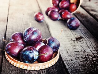 Fresh ripe plum prunes crop harvest