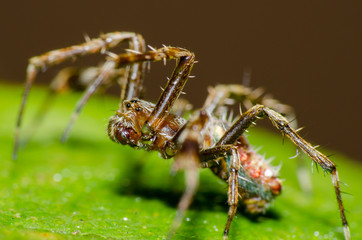 Pequenos detalhes