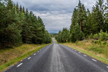 Swedish road