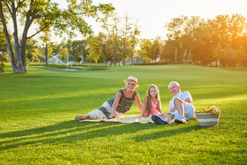 Child with grandparents having picnic. Happy people relaxing. Importance of relationships with...