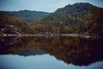 Lake reflection