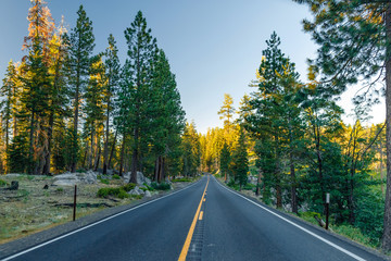 Fototapeta premium Beautiful road between the forest during sunset. at Yosemite National Park California.