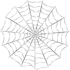 Obraz premium spider web vector isolated in white background