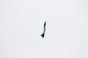 Russian Federation, city of Zhukovsky, Ramenskoye airfield. July 22, 2017. Moscow International...
