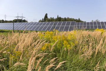 Solar Power Station on the summer flowering Meadow 