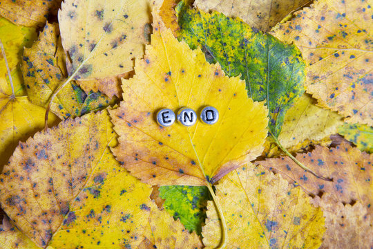 Fallen leaves, the word: "end"
