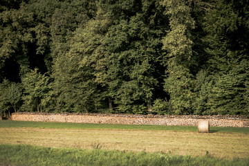 Brennholzlager © focus finder