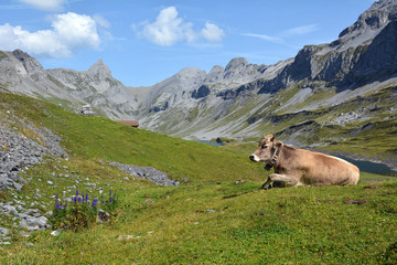 Glattalp, Kanton Schwyz