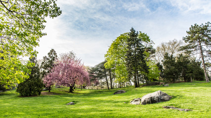 Spring is in full bloom