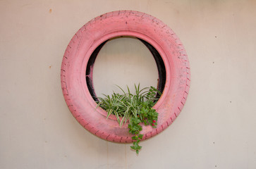 Reciclagem, usando pneus velhos como Jardim
