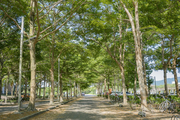 Obraz premium The beautiful campus of National Dong Hwa University