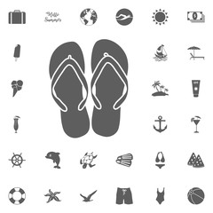 summer vacations over gray background vector illustration