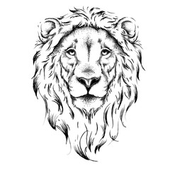 Obraz premium Ethnic hand drawing head of lion. totem / tattoo design. Use for print, posters, t-shirts. Vector illustration