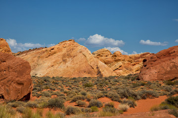 Fototapeta premium Valley of fire in United States
