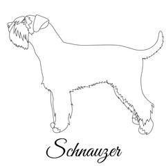 Schnauzer outline