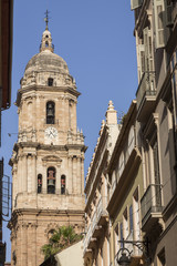 Fototapeta premium Malaga Cathedral
