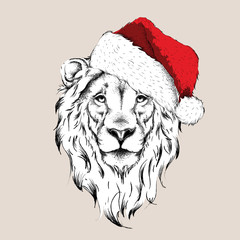 The christmass poster with the image lion portrait in hip-hop hat. Vector illustration. - 169344827