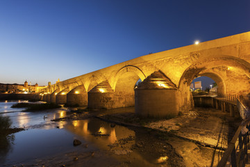 Fototapeta na wymiar Roman Bridge in Cordoba.
