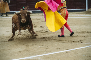 Bullfighter in a bullring.
