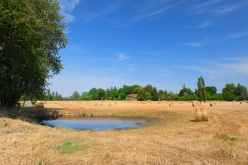 Landscape in French Haute Vienne