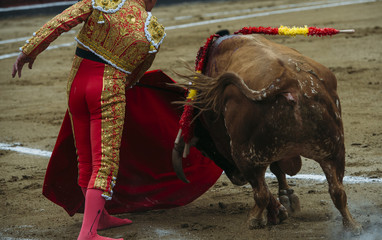 Bullfighter in a bullring.