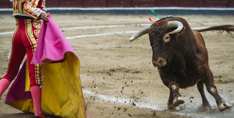 Bullfighter in a bullring.