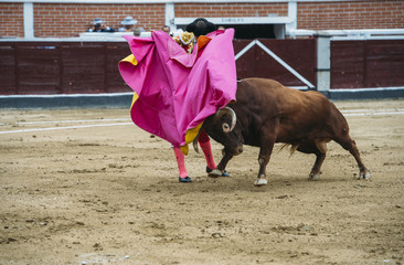 Bullfighter in a bullring.