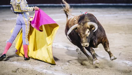 Crédence de cuisine en verre imprimé Tauromachie Torero dans une arène.