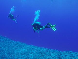 diving in Niue